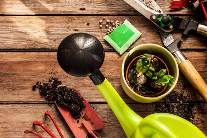 Harken, Streuen, Giessen: Im Frühling gibt es im heimischen Garten viel zu tun. Zum Glück gibt es einige digitale Helferlein, die die Gartenarbeit erleichtern.