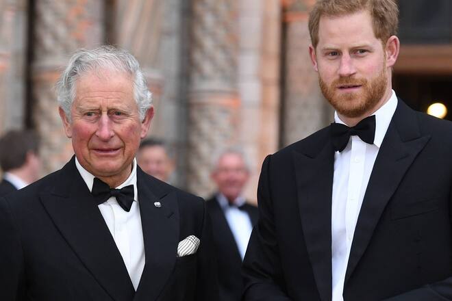 Im Mai soll es ein weiteres kurzes Treffen zwischen Prinz Harry und König Charles III. geben.