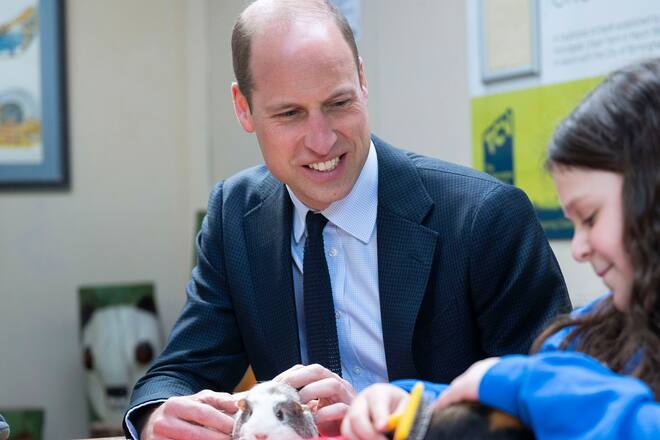 Prinz William hat am Donnerstag ein Meerschweinchen getroffen.