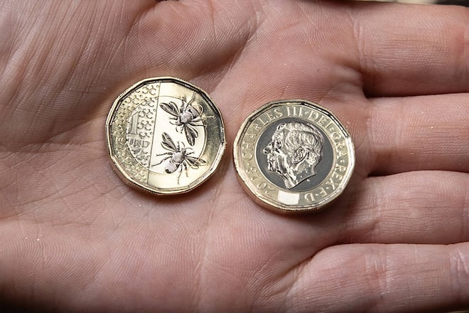Die neue Ein-Pfund-Münze mit König Charles III. und zwei Bienen.