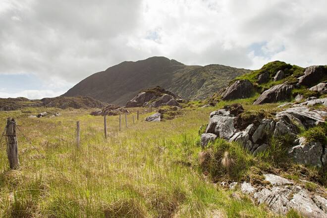 Irland sieht sich als die Heimat von Halloween.