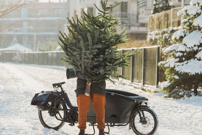 Bei der Wahl des Weihnachtsbaums sollte nicht nur die Optik, sondern auch die Umweltverträglichkeit mitgedacht werden.