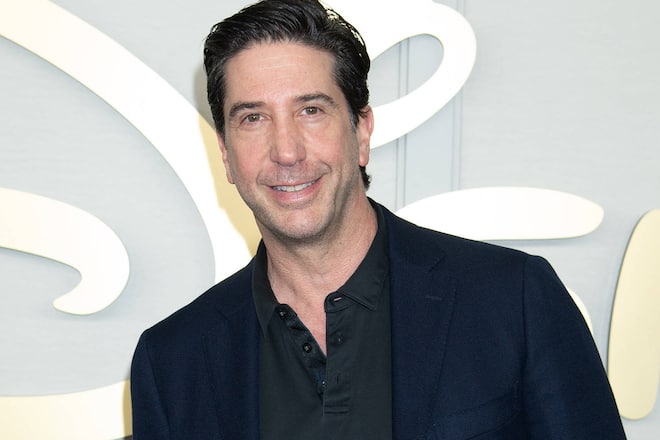 «Friends»-Star David Schwimmer fürchtet eine weitere Begegnung mit Rod Stewart.
