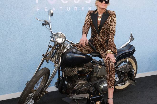 Sharon Stone und «Euphoria» - das könnte ein Match sein.