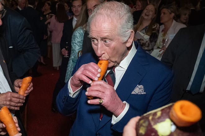 König Charles musiziert auf einer Karottenflöte.