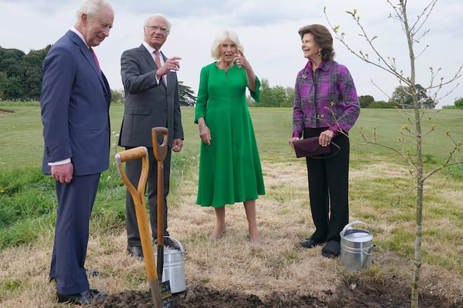 König Charles, König Carl Gustaf, Königin Camilla und Königin Silvia (v.l.) neben der gepflanzten Eiche.