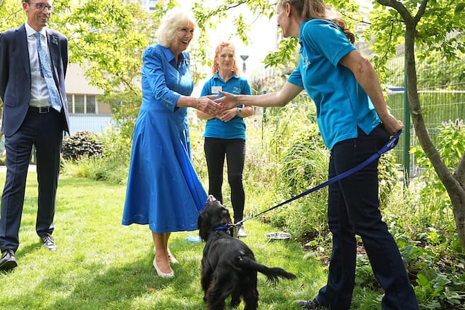 Königin Camilla gilt als grosse Hundefreundin.