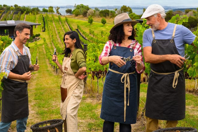 Traute Eintracht am Weinberg: Florian Silbereisen, Collien Fernandes, Barbara Wussow und Daniel Morgenroth (v.l.n.r.) in «Das Traumschiff: Auckland».
