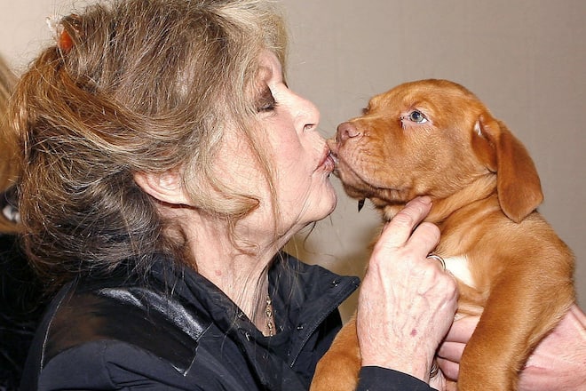 Hat sich seit vielen Jahrzehnten ausschliesslich der Tierwelt verschrieben: Brigitte Bardot.