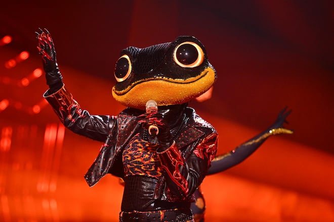 Das Halbfinale von «The Masked Singer» war die Endstation für den Feuersalamander.