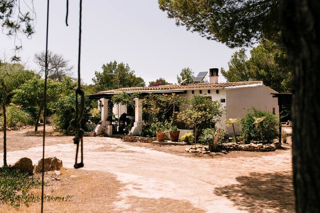 SPORT 03/20 July 2020 Windsurfing