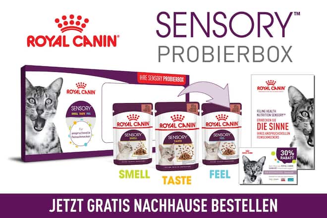 Royal Canin Probierbox