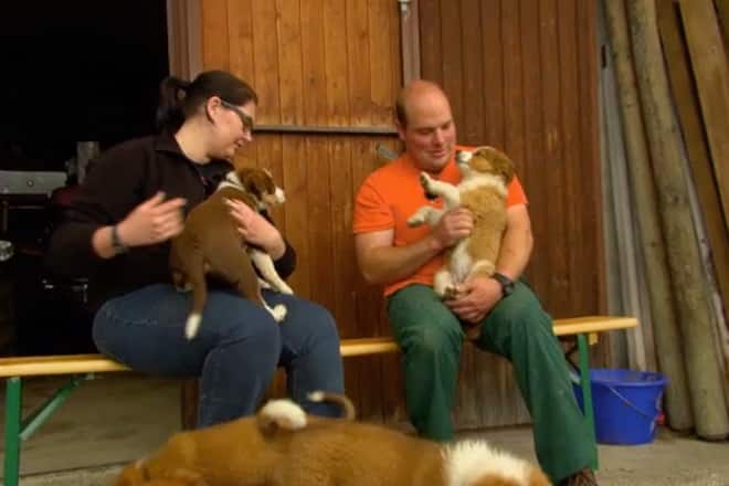 Bauer, ledig, sucht Staffel 12 Folge 11 Walter