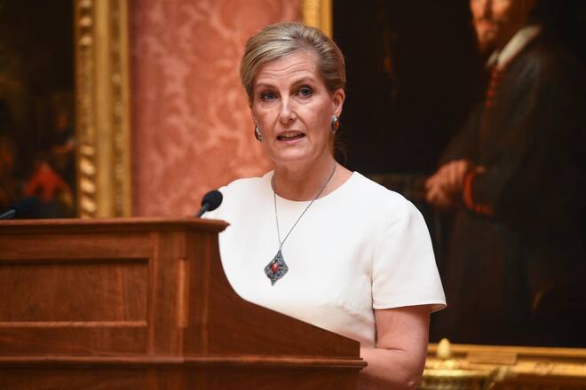 LONDON, ENGLAND - OCTOBER 29:Sophie, Countess of Wessex speaks during a reception to celebrate the work of the Queen Elizabeth Diamond Jubilee Trust at Buckingham Palace on October 29, 2019 in London, England. (Photo by Kirsty O'Connor - WPA Pool/Getty Images)