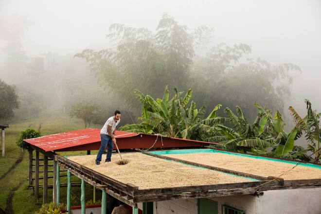 Nespresso Kaffee in die Tasse
