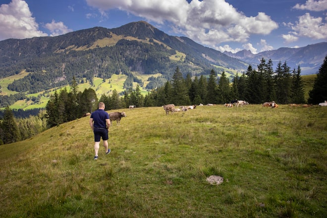 Joel Wicki, Schwingerkönig 2022
