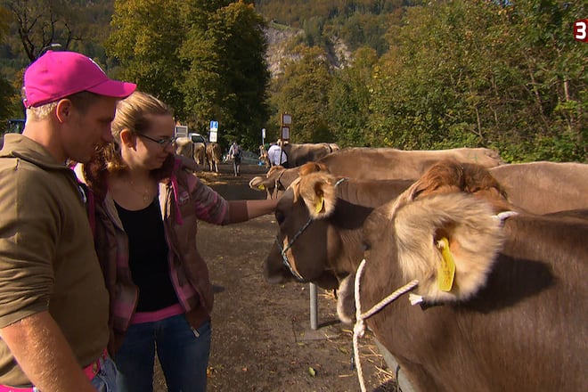 Bauer Ledig Sucht 2016 Kandidaten Sendung Verpasst 3+