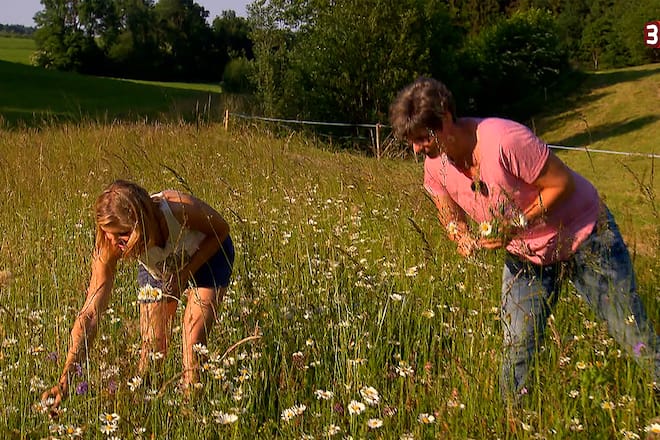 Bauer ledig sucht 3+ Staffel 11 Albert Sandy Kandidaten