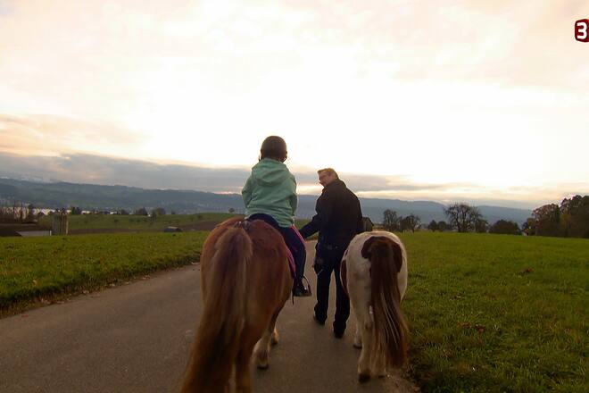 Bauer Ledig Sucht 2016 auf 3+ mit Kandidaten ohne Reto und Isabella Sendung verpasst