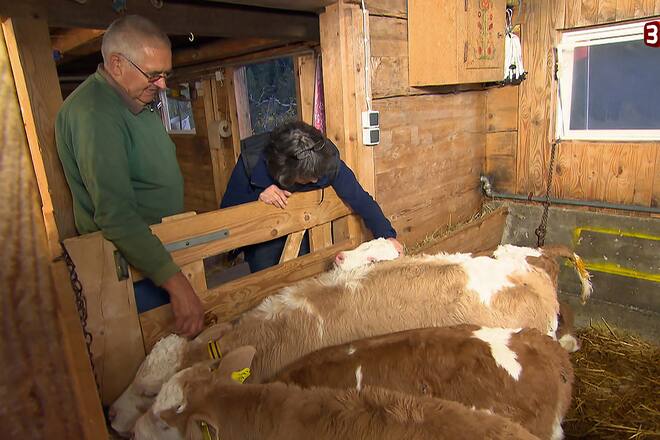 Bauer Ledig Sucht 2016 auf 3+ mit Kandidaten ohne Reto und Isabella Sendung verpasst