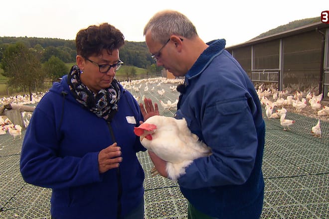Bauer ledig sucht Sendung verpasst Kandidatinnen 2016
