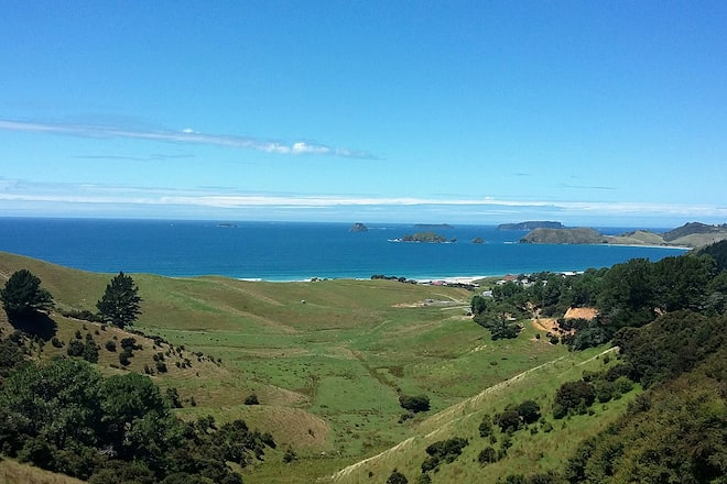 Lisa Stoll Tanz der Kühe Fotos privat Neuseeland