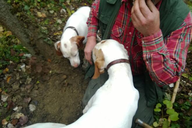 Urs Messerli im Piemont