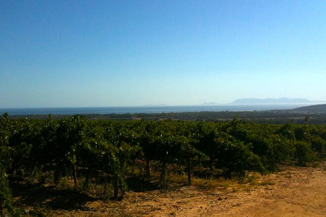 Blog Auswandern Südafrika Leben Alltag