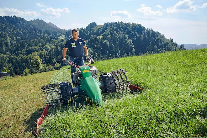 Erich Fankhauser Schwingen