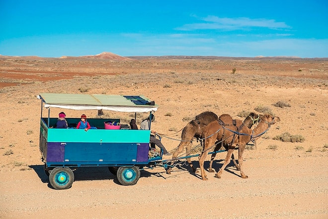 Familie Blum Auf und Davon