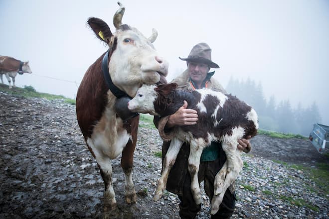 Familie_von _Grünigen_04