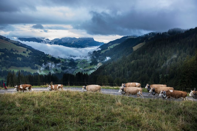 Familie_von _Grünigen_08