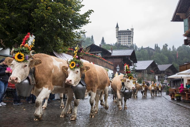 Familie_von _Grünigen_11