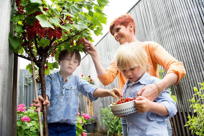 Sandra Boner im Garten