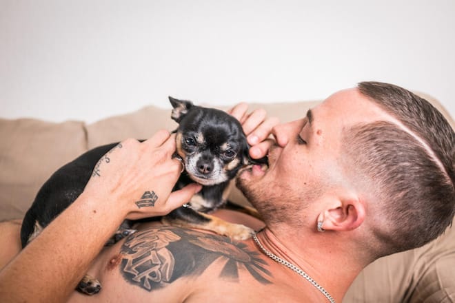 Loco Escrito mit Hund Prince in Wohnung in Wetzikon