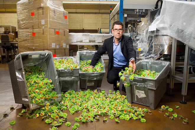 Bibi Nuggi Rückruf alte Form weg, Firma Lamprecht auch Ceylor Kondome