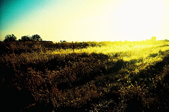 P.A.M. x Carhartt WIP