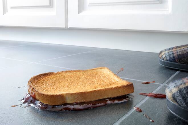 Küchen- und Lebensmittelmythen Brot Boden Bakterien