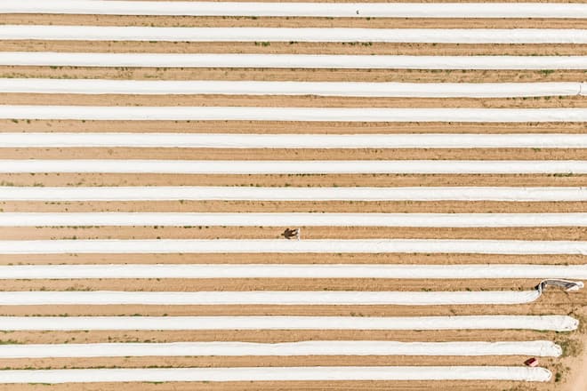 Caspar Ruetz Spargel