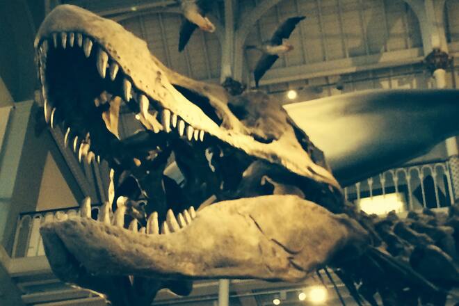 My Day 2014 mit Magier Vincent Raven