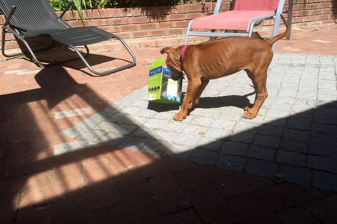 Auswanderer-Blog Südafrika Guesthouse