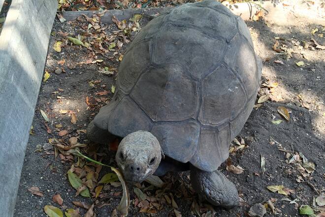 Blog auswandern Südafrika Sacha von der Crone Africa Lodge