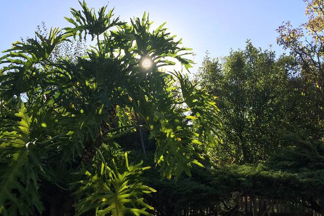 Blog Auswandern Südafrika Sacha von der Crone Leben Alltag