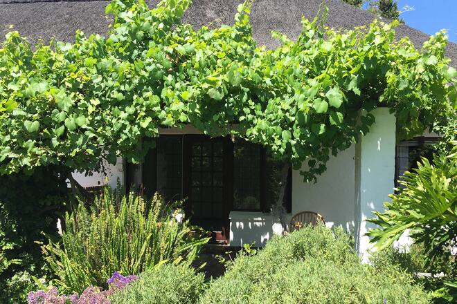 Blog auswandern Südafrika Sacha von der Crone Africa Lodge