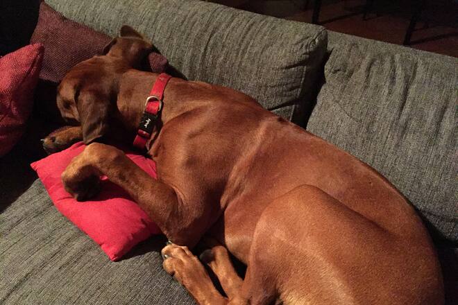 Blog Sacha von der Crohe Südafrika Geniessen