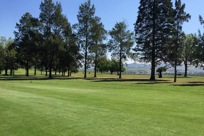 Auswandern Schweiz Leben in Südafrika Sacha von der Crone Blog