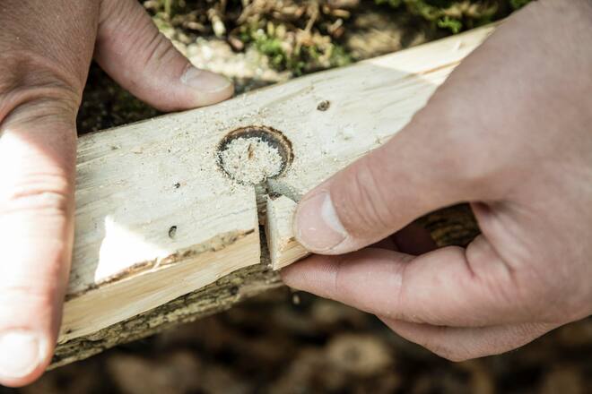 ueberleben im Wald survival Training