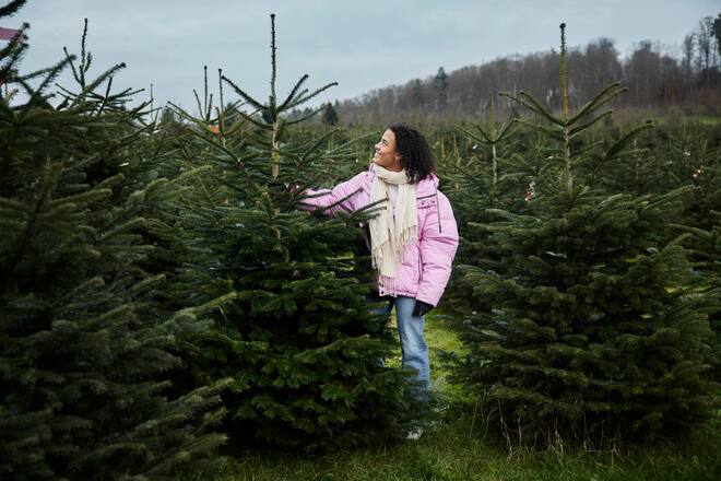 "Didi" Ditaji Kambundji Kambundji, lädt ihren Weihnachtsbaum auf ihren Peugeot. 2024 ©Marion Bernet Fotografie