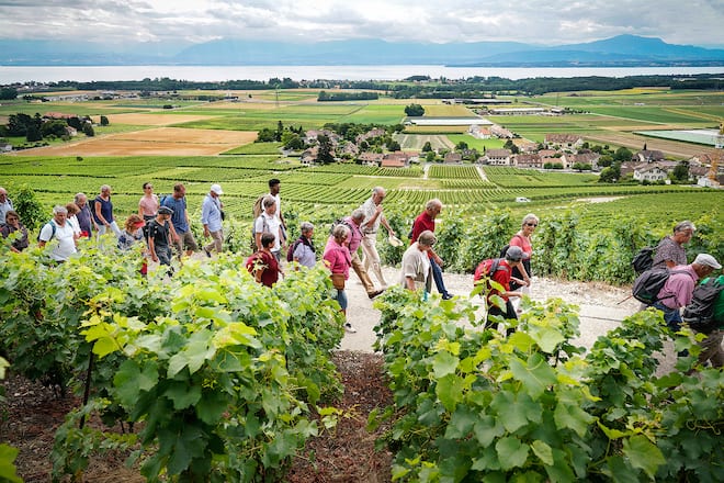 Si Wanderung mit Guy Parmelin