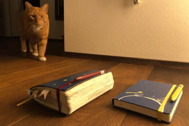 Stefanie Heinzmann Kleine Bilder fuer Meine Welt Indiskretes Interview mit Stefanie Heinzmann © HO